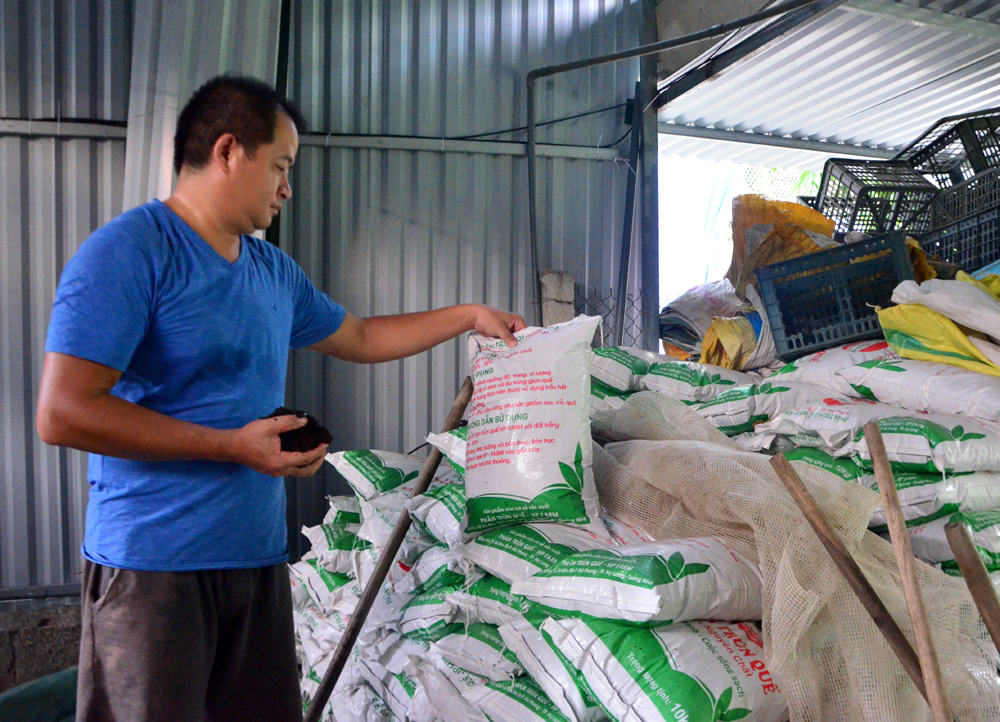 Bỏ lương nghìn đô, trai phố lên rừng nuôi...giun vẫn thành tỷ phú-4