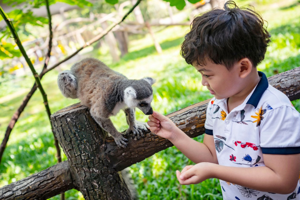 Vinpearl Safari đăng cai hội nghị bảo tồn và phúc trạng động vật lớn nhất ĐNÁ-7