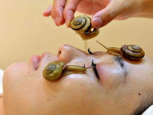 Bỏ ra hàng triệu để được một lần ốc sên