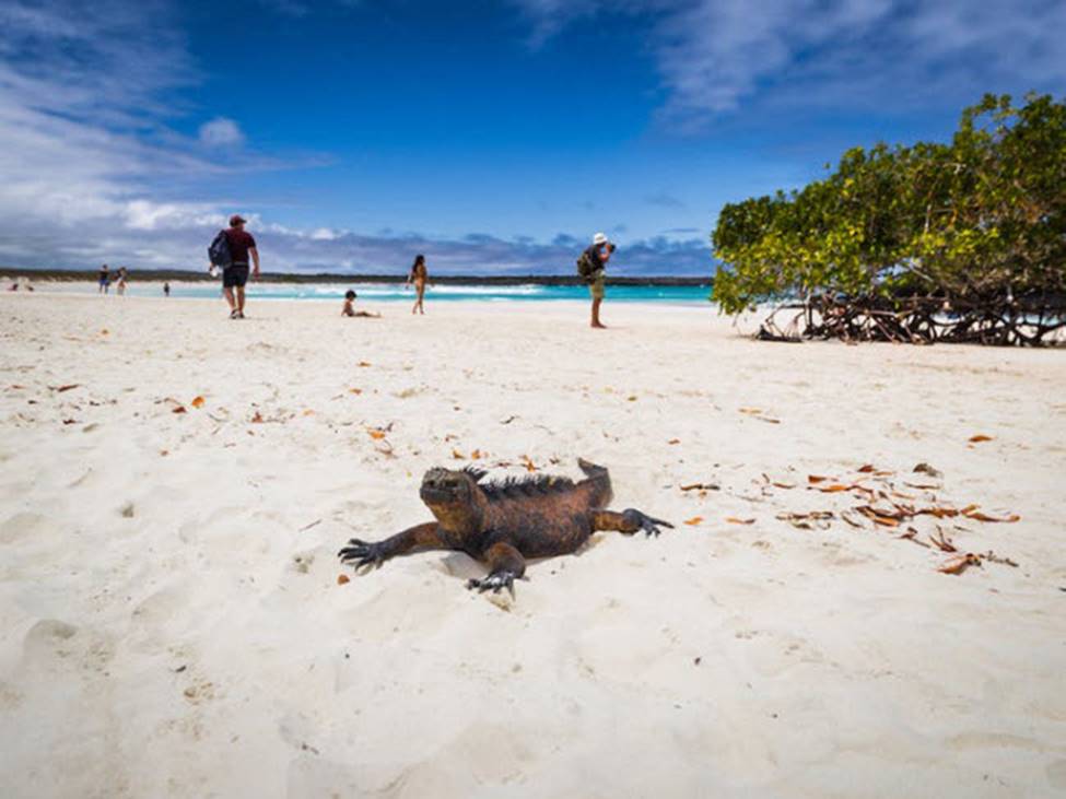 Vịnh Hạ Long lọt top 20 kỳ quan nên đến 1 lần trong đời-10