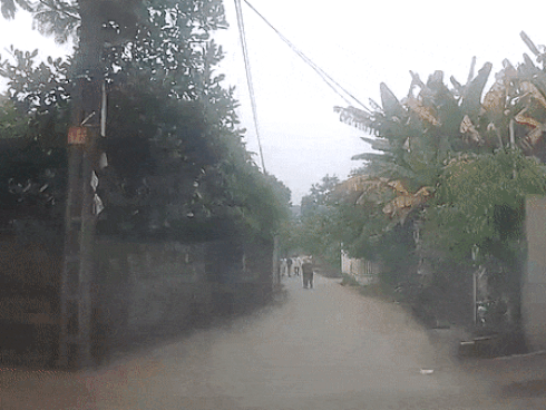 Trẻ em lái xe đạp lao ra đường suýt bị ôtô tông trúng