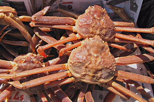 Ăn 1 con cua lạ giá 1 chỉ vàng, ngả mũ chơi sang của nhà giàu Việt-1