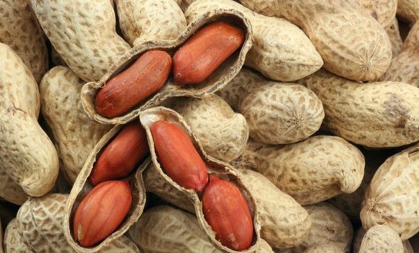 Những loại hạt vừa chữa bệnh vừa tốt gấp tỷ lần thuốc bổ-3