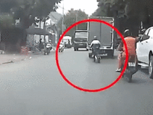 Chú chó cứu thoát chủ nhân khỏi bị xe tải đâm-1