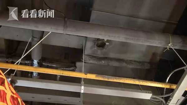 Đang ăn ở nhà hàng sang chảnh, nữ thực khách bị con chuột to rơi trúng và cắn vào da đầu, nguy cơ bị bệnh dại cấp độ 3-2