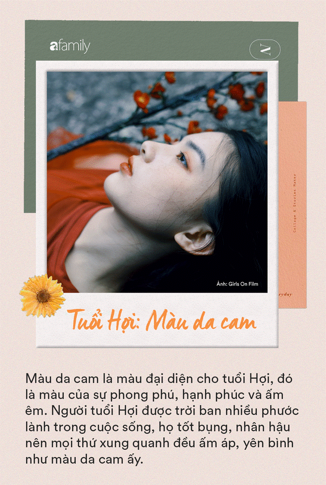 Khi màu sắc có khả năng nói lên tính cách của 12 con giáp: Kẻ nhiệt huyết tham vọng giàu có, người chỉ cần cuộc sống bình yên đủ đầy-12