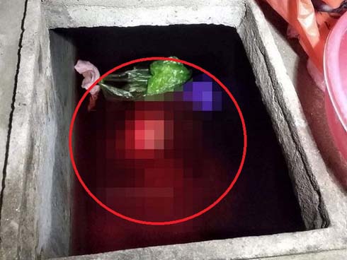 Gã con rể khai lý do sát hại mẹ vợ phi tang xác xuống bể nước-2