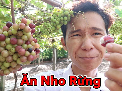 Dân tình lại được dịp đặt dấu ? to đùng về nia cơm siêu to khổng lồ của bà Tân Vlog: cơm hải sản là cơm trắng rồi đặt hải sản hấp lên trên?-16