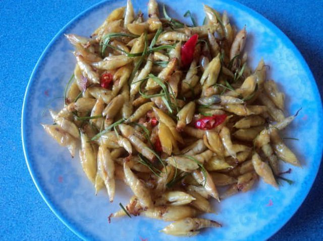 Kinh hồn bạt vía với đặc sản sâu béo núc - cực phẩm ở Tây Nguyên-2