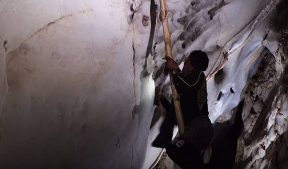 Nghề giỡn mặt tử thần, rơi xuống có thể mất mạng... lấy thứ bán 68 triệu/kg-5