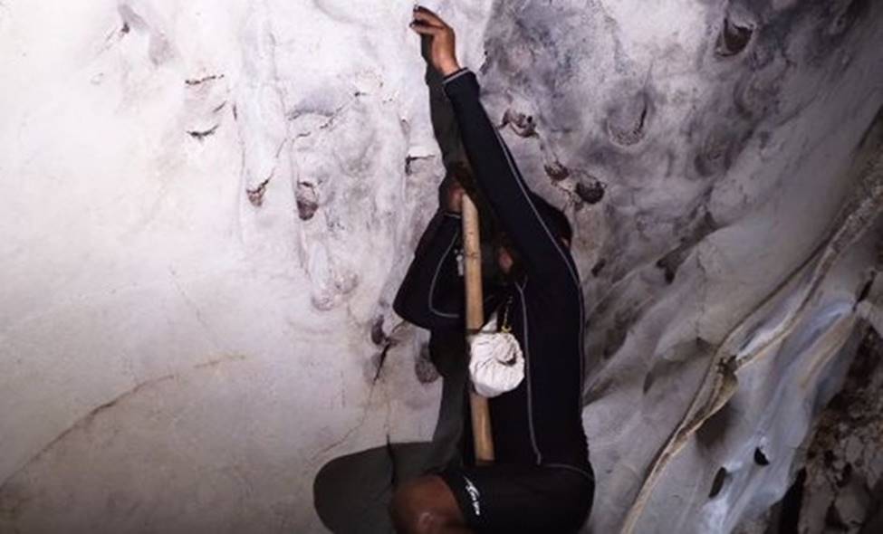 Nghề giỡn mặt tử thần, rơi xuống có thể mất mạng... lấy thứ bán 68 triệu/kg-9