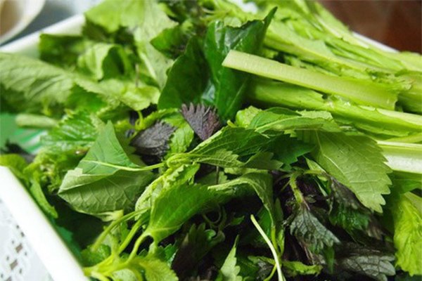 Loại giun sán khiến nhiều người dân ở Khánh Hòa phải nhập viện thực sự đáng sợ thế nào?-4