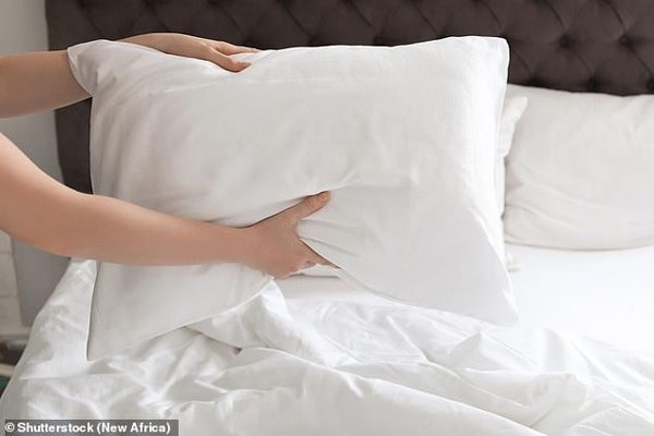 Bị viêm phổi nặng, khó thở suốt 3 tháng không rõ lý do, kiểm tra giường liền biết nguyên nhân-2
