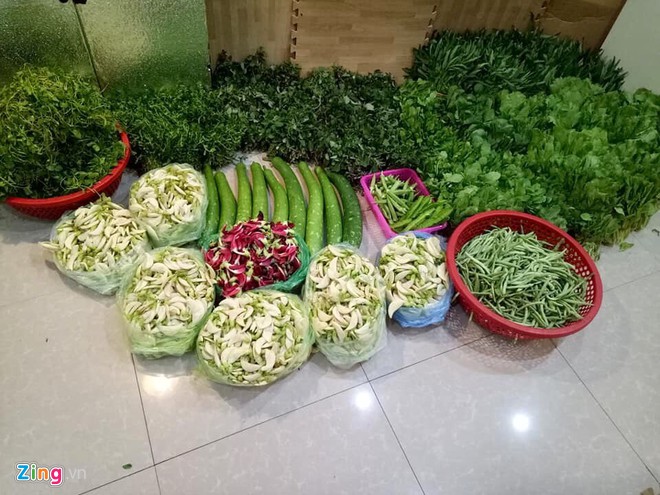 Bán thịt quê, rau sạch kiếm chục triệu mỗi tháng-2