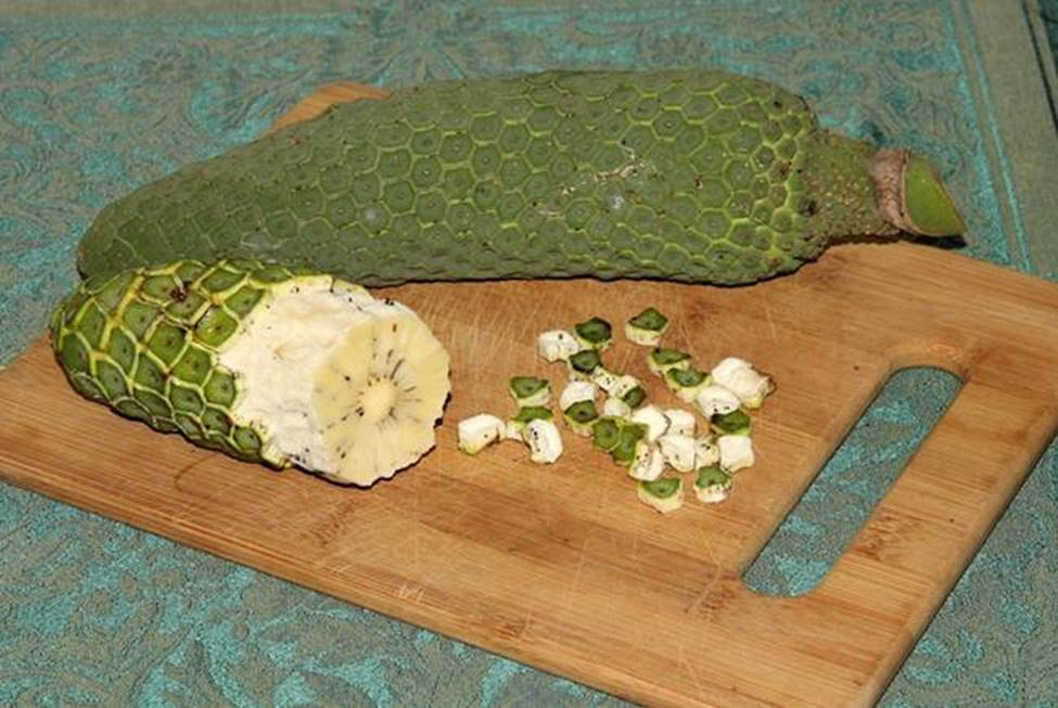 Trái quái vật, ăn khi chưa chín là gặp nguy hiểm, giá bán hơn 90.000 đồng/quả-3