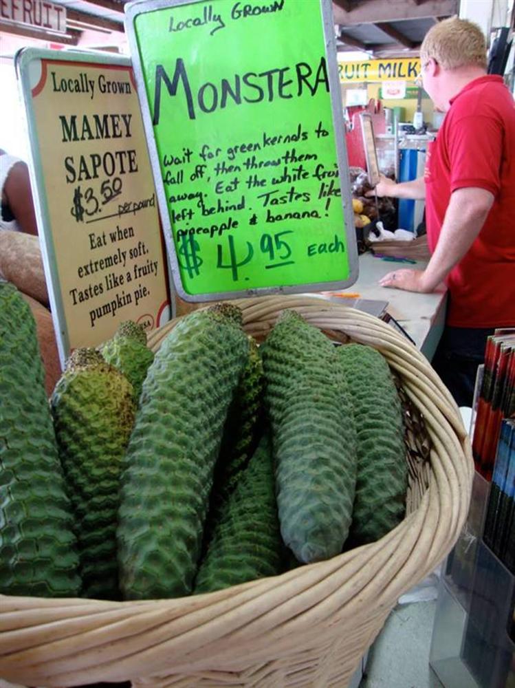 Trái quái vật, ăn khi chưa chín là gặp nguy hiểm, giá bán hơn 90.000 đồng/quả-7