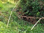Vụ phát hiện nửa thi thể trong bụi rậm: Nạn nhân được gia đình trình báo mất tích ở tỉnh Đắk Nông-2