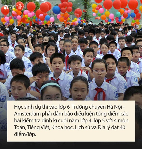 Điều kiện dự thi vào lớp 6 Trường THPT chuyên Hà Nội - Amsterdam, bố mẹ cân nhắc trước khi quyết định cho con theo học-5