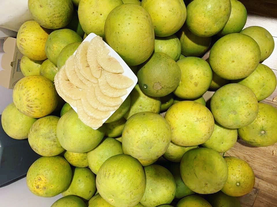 Đại gia Hà Thành chơi trội, bao trọn vườn bưởi cổ 2.000 quả ăn Tết-2