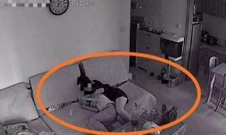 Con trai dẫn bạn nữ về nhà, bố nhìn qua camera thấy việc 2 đứa làm liền nổi giận-1