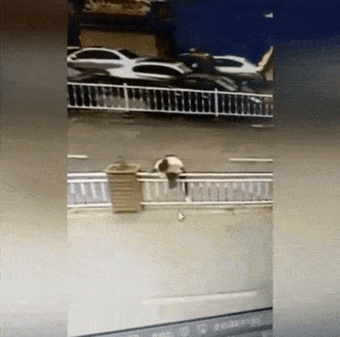 Đi lối tắt để băng qua đường, cô gái trẻ gặp sự cố hi hữu: Kẹt đầu vào giữa các thanh sắt không rút ra được-2