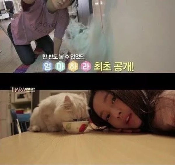 Xót xa với tang lễ vắng bóng người thân của Goo Hara, cha mẹ không xuất hiện, chỉ có anh trai đứng ra lo chuyện hậu sự?-5