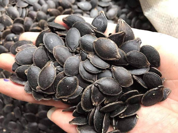 Loại hạt màu đen sì hút khách dịp cuối năm, có người bán được cả tấn-2