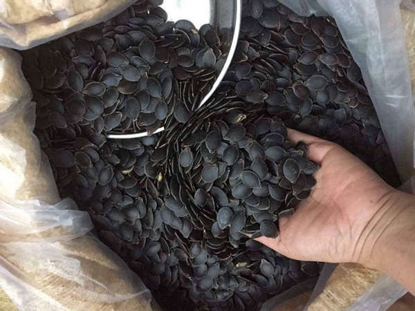 Loại hạt màu đen sì hút khách dịp cuối năm, có người bán được cả tấn-3