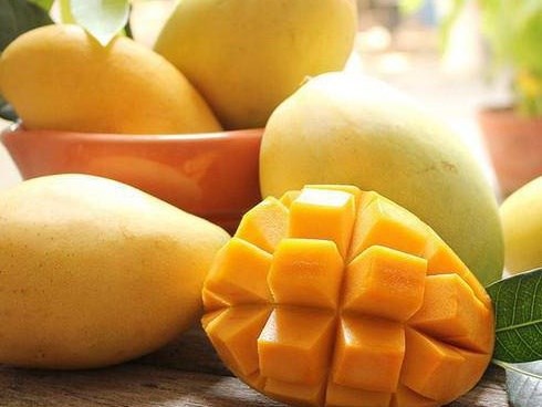 Quả xoài: Tốt vô cùng nhưng có thể thành 