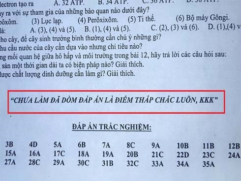 Đề cương ôn tập được đính kèm cả đáp án, nhưng chỉ với 1 câu nói bá đạo của cô giáo không học sinh nào dám ngó