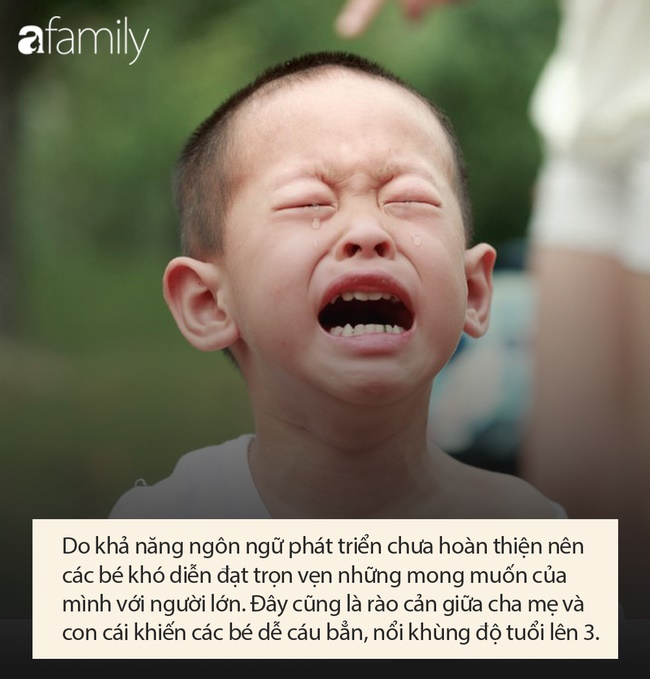 Đừng than trời vì sự thay tính đổi nết khi con lên 3, cha mẹ nên hiểu nguyên nhân sâu xa này để đưa ra biện pháp giáo dục phù hợp-4