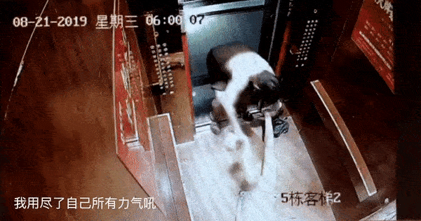 Nữ hot blogger cùng 2 người vợ cũ của bạn trai khóc nức nở vạch tội gã đàn ông bạo hành phụ nữ với hành vi tàn độc đến rợn người-2