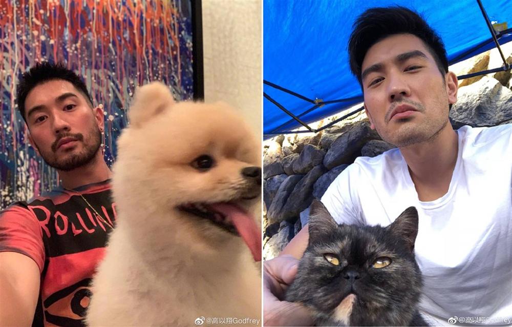 Những hình ảnh cuối cùng của Cao Dĩ Tường-6