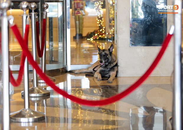 Chủ nhà Philippines dùng chó nghiệp vụ đánh hơi, rà soát mối nguy hiểm trên xe bus chở U22 Việt Nam trong ngày đấu U22 Lào-4