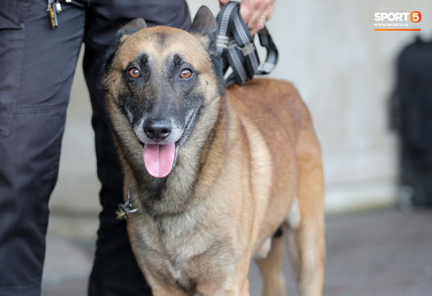 Chủ nhà Philippines dùng chó nghiệp vụ đánh hơi, rà soát mối nguy hiểm trên xe bus chở U22 Việt Nam trong ngày đấu U22 Lào-3