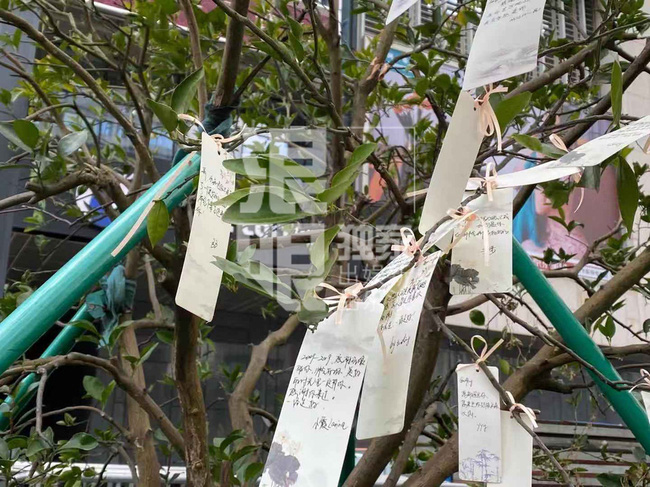 Đông đảo người hâm mộ gửi hoa và lời tạm biệt trong lễ tưởng niệm Cao Dĩ Tường tại hiện trường nơi xảy ra tai nạn-7
