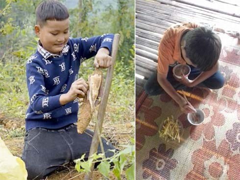 Những thông tin chưa biết về