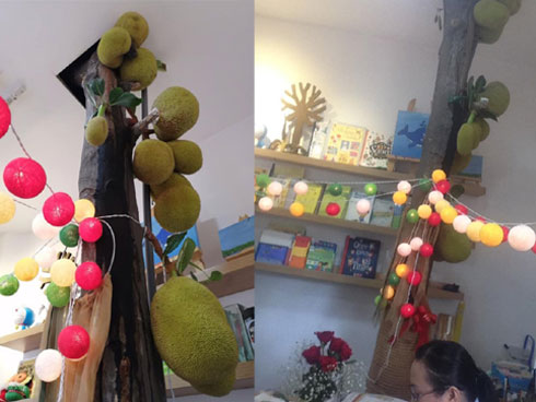 Đào cả tấc dưới mặt đất mới hái được quả mít to bằng cái ôm tay, dân mạng thắc mắc không biết nên gọi quả mít hay củ mít?”-3