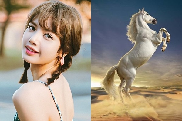 Tháng 12 dương, 3 con giáp sinh vào năm sau đi làm ăn xa tiền bạc đầy túi, vận may tới tấp-3