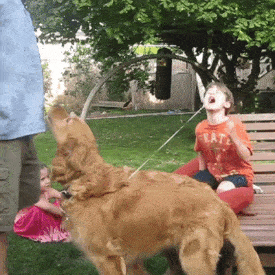 Cười té ghế với muôn kiểu nhổ răng cho trẻ mà bạn sẽ không bao giờ ngờ tới-13