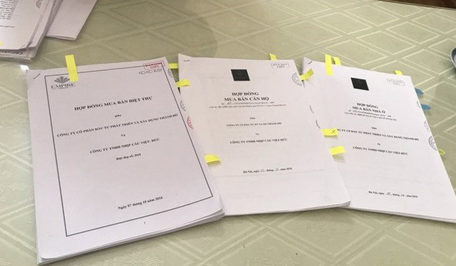 Triệu phú Việt sa lầy 600 tỷ ở Cocobay-3