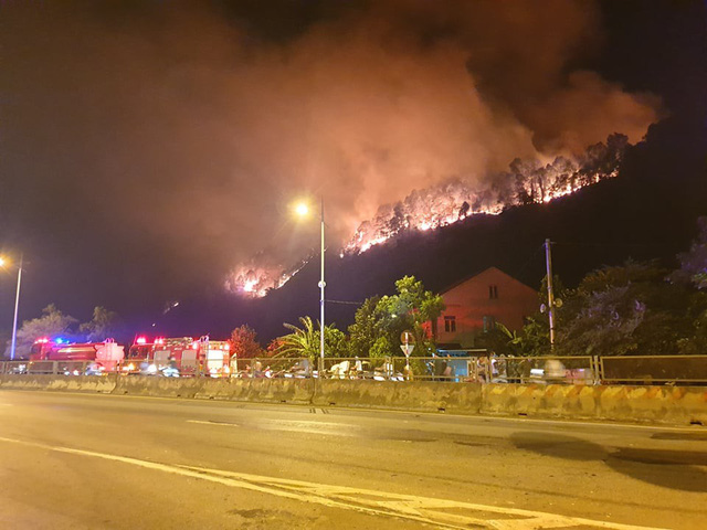 84 tháng tù cho đối tượng gây ra vụ cháy rừng kinh hoàng ở Hà Tĩnh-1