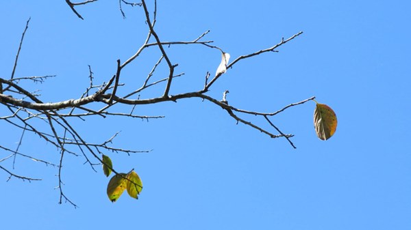 5 khổ đau lớn nhất của đời người, nếm trải qua rồi sẽ chẳng còn gì có thể khiến bạn tổn thương hơn-5