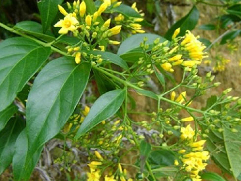 Xôn xao thông tin nữ sinh 16 tuổi nhảy cầu tự tử, để lại thư tuyệt mệnh: Mẹ nói đúng, con là đứa vô tích sự!-5