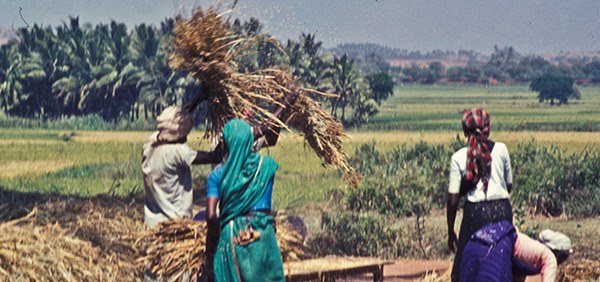 Thảm họa dân nghèo tự tử hàng loạt tại Ấn Độ: Phận góa phụ mất chồng, tuyệt vọng giữa nạn lạm dụng tình dục mà không được bảo vệ-6