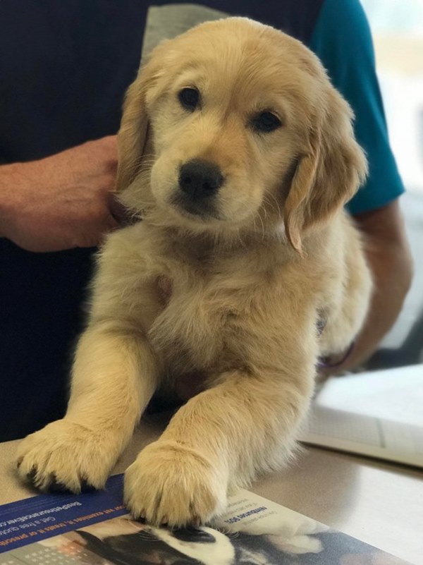 Bí ẩn người mẹ sinh 3 con nhưng không đứa nào là con ruột và nỗi oan thấu trời-3