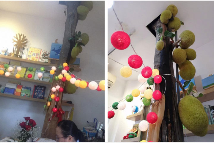 Đào cả tấc dưới mặt đất mới hái được quả mít to bằng cái ôm tay, dân mạng thắc mắc không biết nên gọi quả mít hay củ mít?”-2