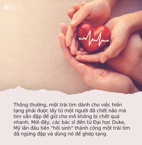 Các bác sĩ Mỹ hồi sinh” thành công trái tim người đã chết, mở ra đột phá mới trong việc cấy ghép nội tạng-1