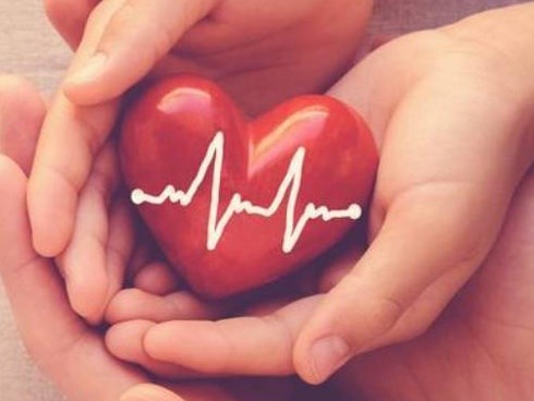 Các bác sĩ Mỹ “hồi sinh” thành công trái tim người đã chết, mở ra đột phá mới trong việc cấy ghép nội tạng