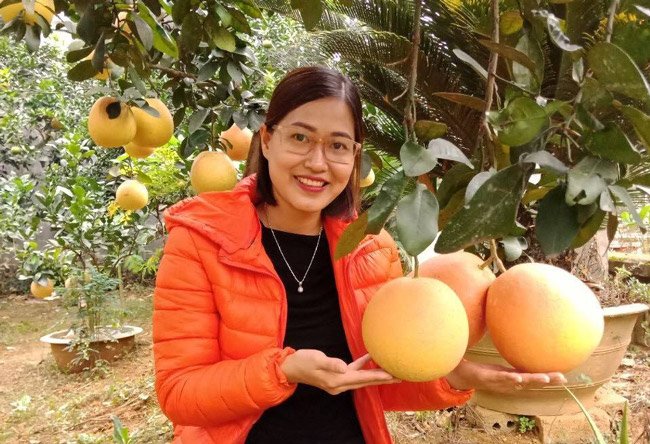 Cận cảnh vườn bưởi tiến vua” tiền tỷ của ông nông dân xứ Thanh-8